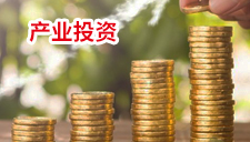 产业投资